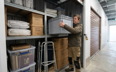 Family Transitions & Illness: The Role of Secure Storage