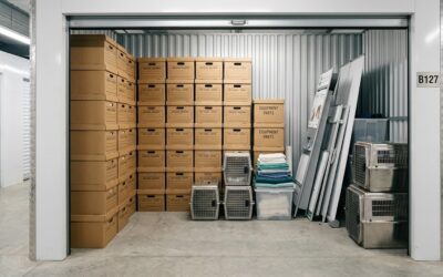 Veterinary Practices: Storing Seasonal Equipment and Archived Records